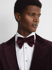 Men Velvet Bow Tie in Bordeaux