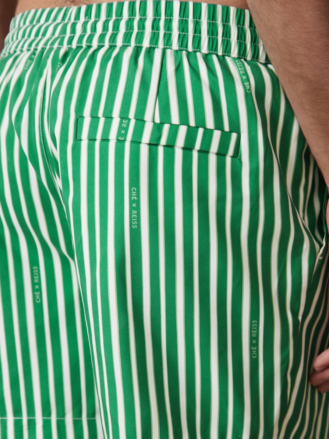 Men | Ché Stripe Swim Shorts in Green/White