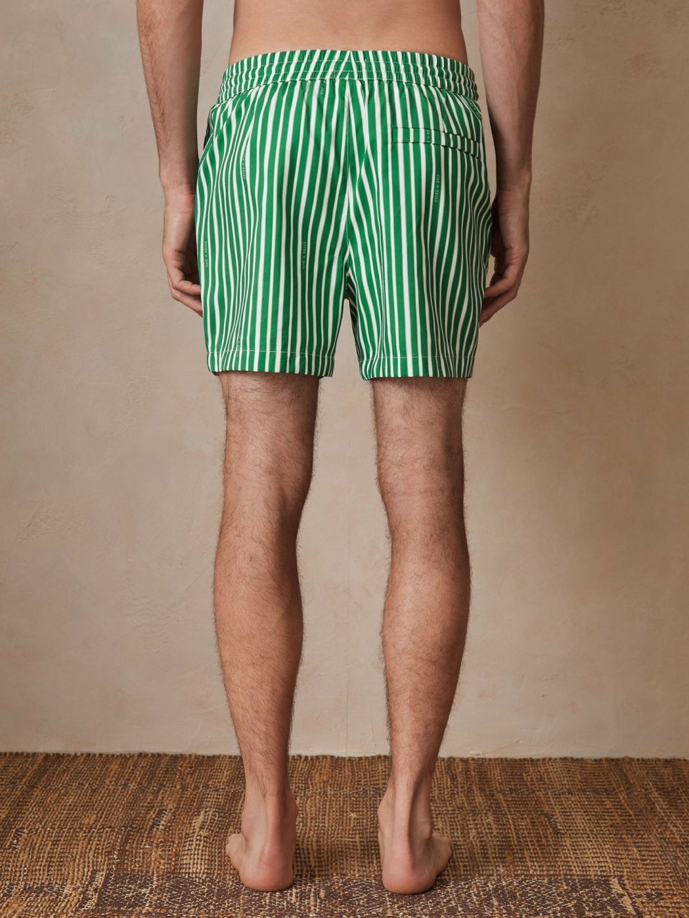 Men | Ché Stripe Swim Shorts in Green/White