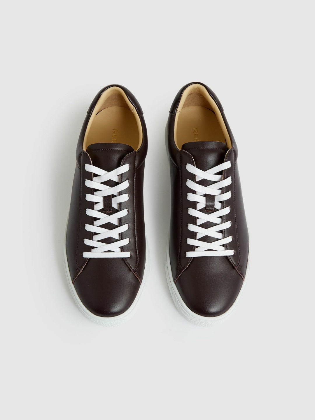 Men Leather Low-Top Trainers in Plum Purple