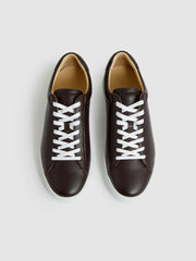 Men Leather Low-Top Trainers in Plum Purple