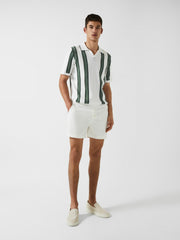 Men Open Collar Striped Polo T-Shirt in White/Sage