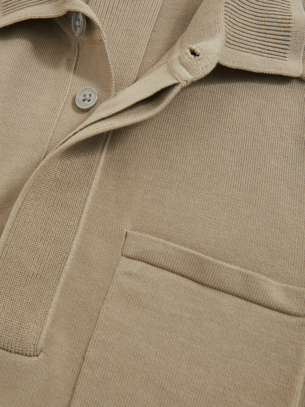 Men Cotton Concealed Placket Polo Shirt in Light Sage Green